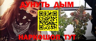 гидра Лесосибирск