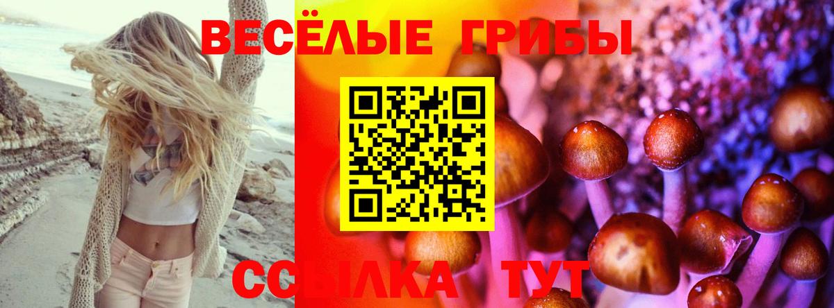 Галлюциногенные грибы MAGIC MUSHROOMS Дербент