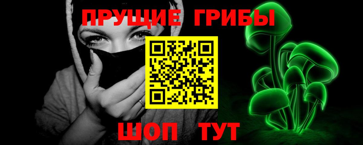 Псилоцибиновые грибы Psilocybe  Вход с VPN  Дербент 